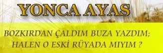 yoncaayas