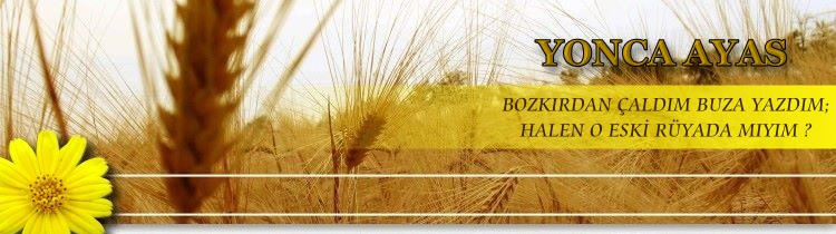 Yonca AYAS